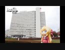 ニート、旅をする【140日目】