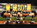 【パワプロ2018】#23 新エース誕生！？8年間未勝利からの沢村賞！！【大正義ペナント・ゆっくり実況】