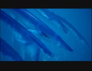【ABZU】癒しを求めて海中探索！②