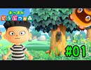 【実況】はじめてのどうぶつの森【あつまれどうぶつの森】#01　