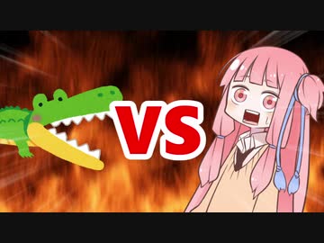 茜ちゃんVSワニ