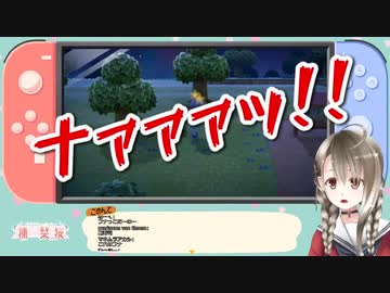 1日5回タランチュラと闘う楠栞桜