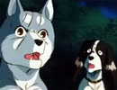 ホモと見る犬のアニメ