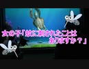 蚊に刺されたことはありますか？【タートルトーク】東京ディズニーシー