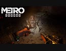 【Metro Exodus】砂漠の嵐【さくさく実況プレイ#11】