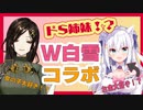 薄い本を巡る姉妹エチュード【白雪 巴にじさんじ】