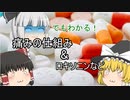 痛みってなんぞ？【ゆっくり解説】