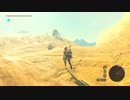【Switch】リンクの記憶なしで成り行き旅【プレイ動画】part48