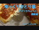 【ゆっくり】ひとり旅『アメリカちょっと横断編』 Vol.17