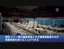 新規感染、ゼロはウソ