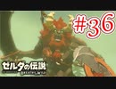 【ゼルダの伝説ブレスオブザワイルド実況】3Dで広大な世界を自由に走り回れる楽しさをおすそ分け！？part36