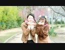 【にこべぁ。】キミペディア　踊ってみた【３２６】