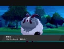 軽い縛りと初見でポケットモンスターソード＆シールド【剣編】図鑑埋めpart10。