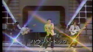 1980 嵐の金曜日　HOUNDDOG
