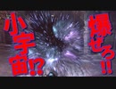 【Bloodborne】｜高難易度ブラッドボーン｜まるでコスモ｜【初見実況】part11