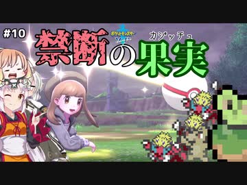 【ポケモン剣盾】そら×ついの色違いガラル旅～禁断の果実～part10