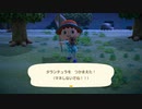 【あつ森】　タランチュラ攻略！捕まえ方とコツを解説！　あつまれどうぶつの森