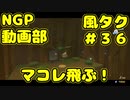 マコレ飛ぶ！【ゼルダの伝説 風のタクトHD】＃３６