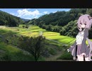 ゆかりさんが行く、のんびりソロツーリング　【1分弱車載動画際】