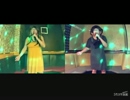 Paradox／Hysteric Blue