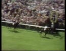 1972年 ベンソン＆ヘッジスゴールドカップ(GI) ロベルト(Roberto)