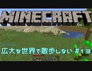 【実況プレイ】広大な世界で散歩しない【Minecraft】【第六回】#13
