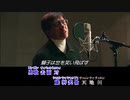 【ニコカラ】英雄故事 RE BORN ver.(on vocal)
