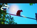 #12 熱帯エリア着手！チンパンジーの飼育エリアをつくろう！【Planet Zoo・建築実況】