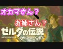 【実況】バクダンで大体のことは解決する大冒険 part9【ゼルダの伝説ブレスオブザワイルド】