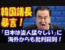 【海外の反応】 韓国議長の発言 「日本は盗人猛々しい」に 対して 海外から批判！