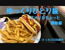 【ゆっくり】ひとり旅『アメリカちょっと横断編』 Vol.18