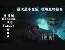 【MHWI】環境生物最大最小金冠紹介56キッチョウヤンマ