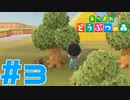 【実況】斧を手に入れ木こりも始めました #3【あつまれどうぶつの森】