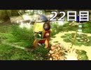 【実況】日刊ピクミン　22日目　～頑張～