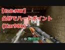 【CoD:MW】凸砂でハードポイント(Kar98k)