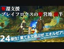 【最初からFF14実況】新生！果てまで遊ぶぜ エオルゼア！#24