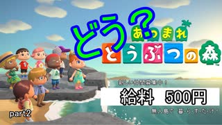 【あつまれどうぶつの森】こんな時（はやり病）だからこその無人島暮らし、あり 2 【Nintendo Switch】