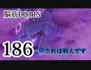 【実況】過ぎ去りし脳筋を求めて【DQ11S】　part186