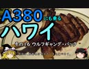 【ゆっくり】Ａ３８０にも乗るハワイ １６ ウルフギャングステーキハウス