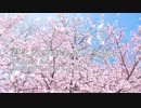 【AIきりたん】君といつかとさようなら