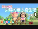 【あつ森】夫婦で無人島生活day1