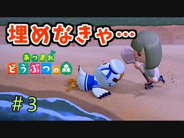 【あつまれ どうぶつの森】この鳥は埋めてあげなきゃ…。＃3