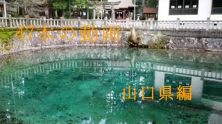 47本の動画 山口県 ~便乗1分弱車載祭~