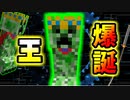 ついに王と大激戦！？  って、思ってたより普通？【Minecraft】part25