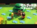 【実況】どの世界でもハチは無敵《ゼルダの伝説 夢を見る島》 Part5