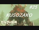 【実況】マスターモード縛りプレイやる part２5【ゼルダの伝説 ブレスオブザワイルド】