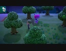 インドア派のどうぶつの森２