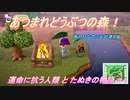 【あつ森】前人未島へようこそ！#4【あつまれどうぶつの森】