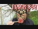 たまかけの飯動画