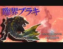 【MHWIB】初見討伐を目指して臨界ブラキに挑む。新防具強すぎワロタ【モンスターハンターワールドアイスボーン】